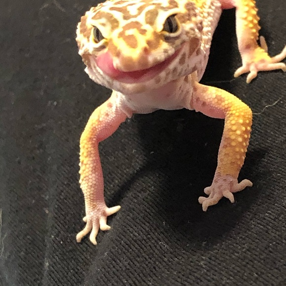 Meet your Posher, Melissa - Picture 4 of 4